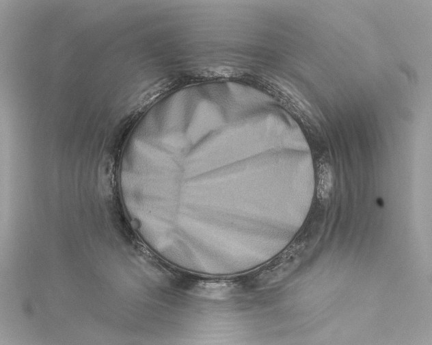 X0000114490414200911161216