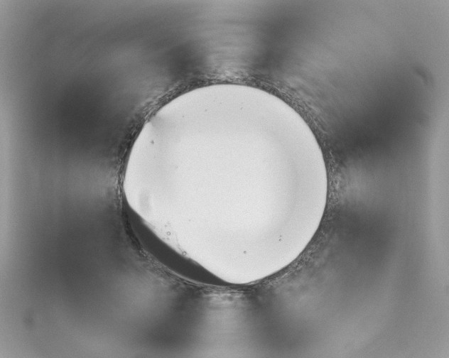 X0000114490415200911161216