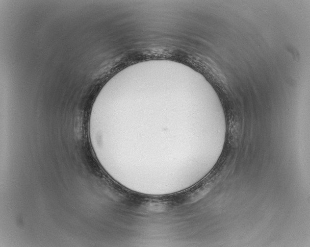 X0000114490416200911161216