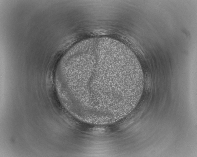 X0000114490418200911161216