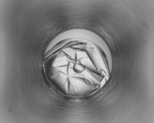 X0000114490419200911161216