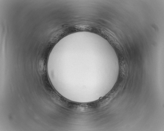 X0000114490420200911161216