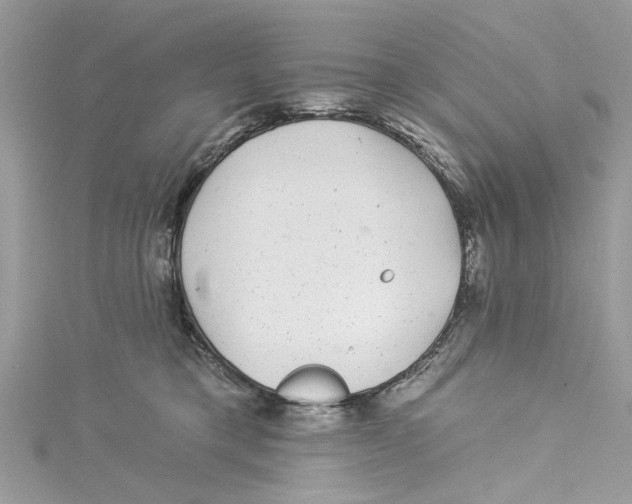 X0000114490421200911161216