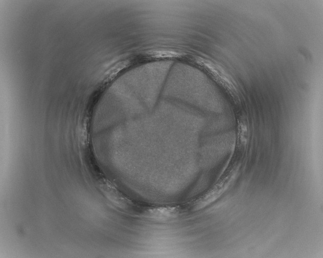 X0000114490422200911161216