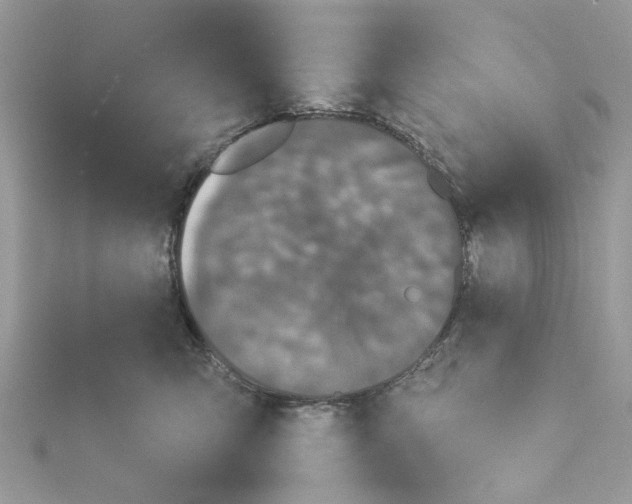 X0000114490423200911161216