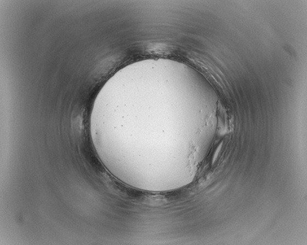 X0000114490424200911161216