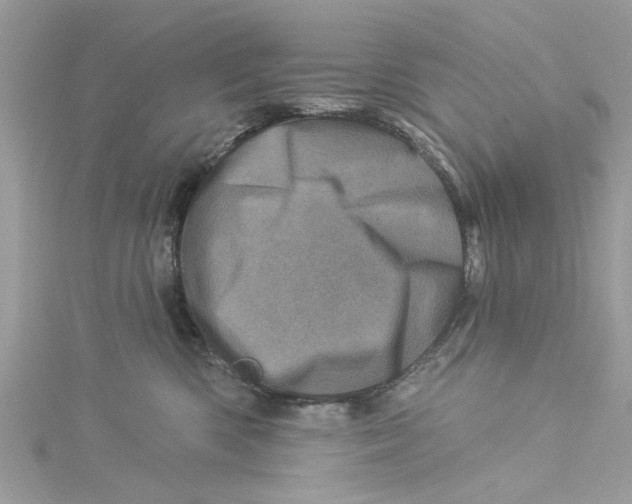 X0000114490426200911161216