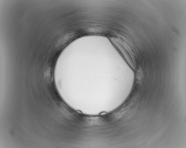 X0000114490428200911161216