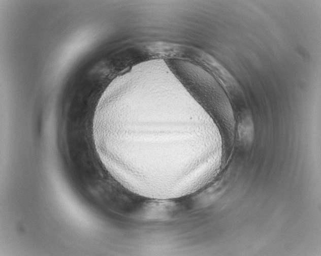 X0000114490429200911161216