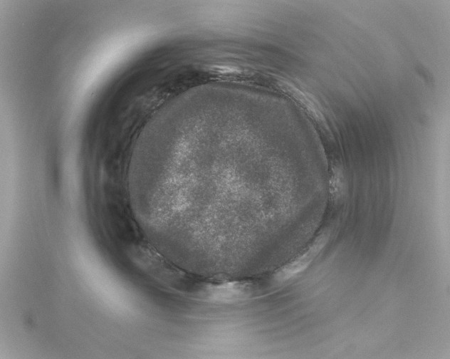 X0000114490430200911161216