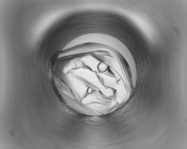 X0000114490431200911161216