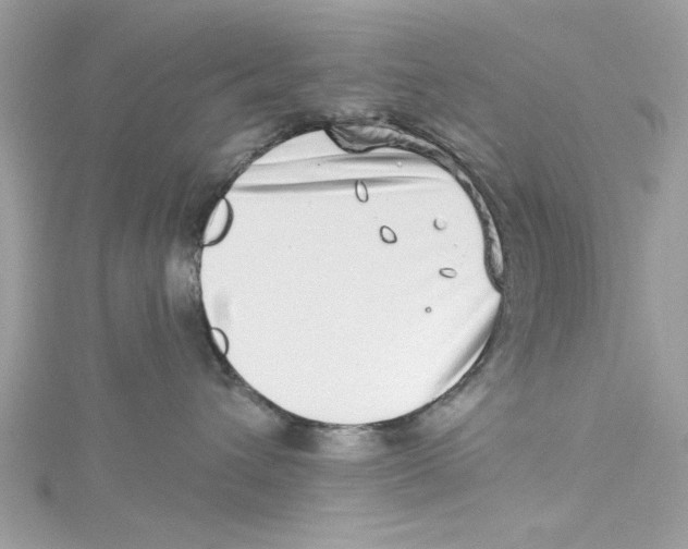 X0000114490432200911161216