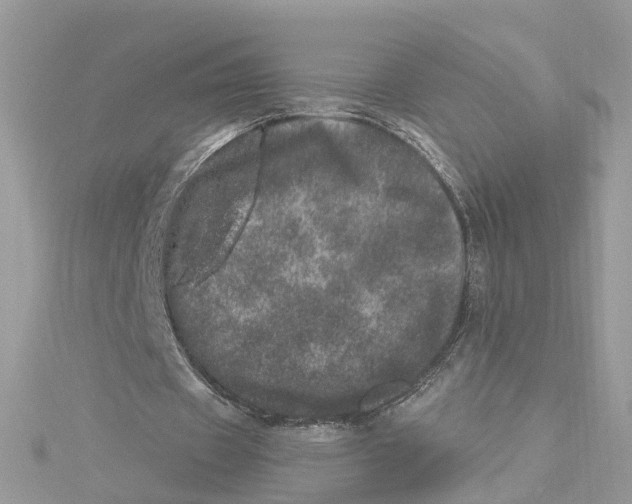 X0000114490433200911161216