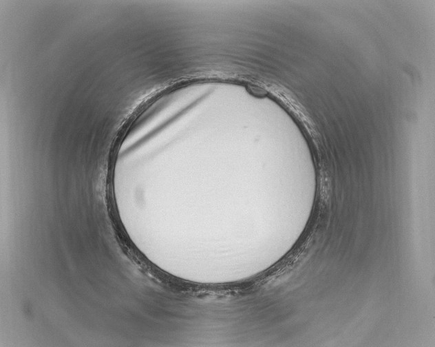 X0000114490434200911161216