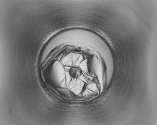 X0000114490436200911161216