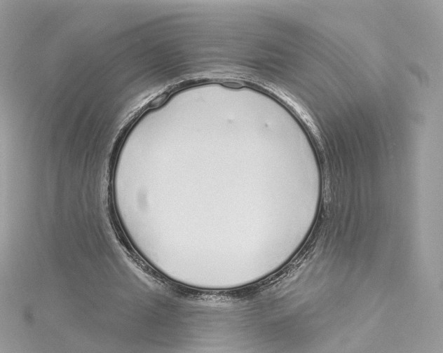 X0000114490437200911161216