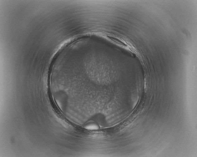 X0000114490438200911161216