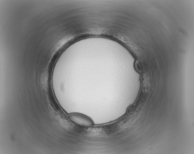 X0000114490440200911161216