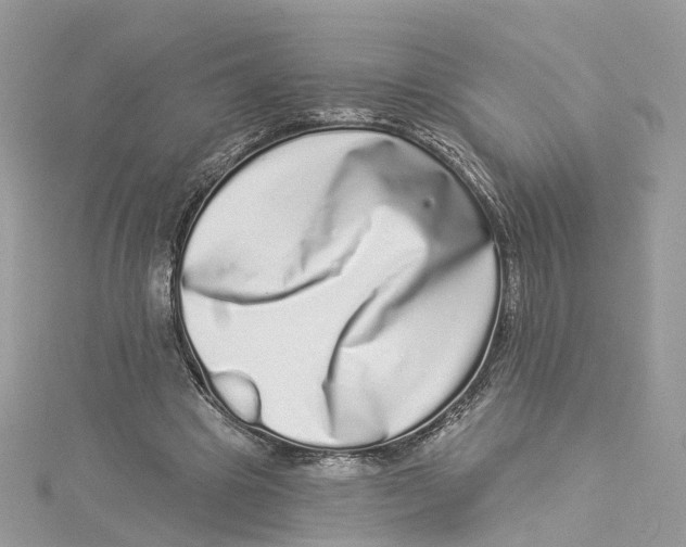 X0000114490441200911161216