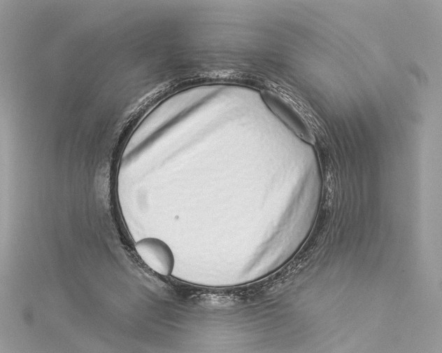 X0000114490442200911161216