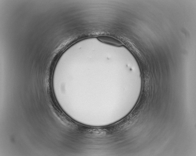 X0000114490443200911161216