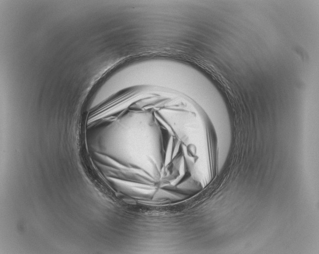 X0000114490444200911161216