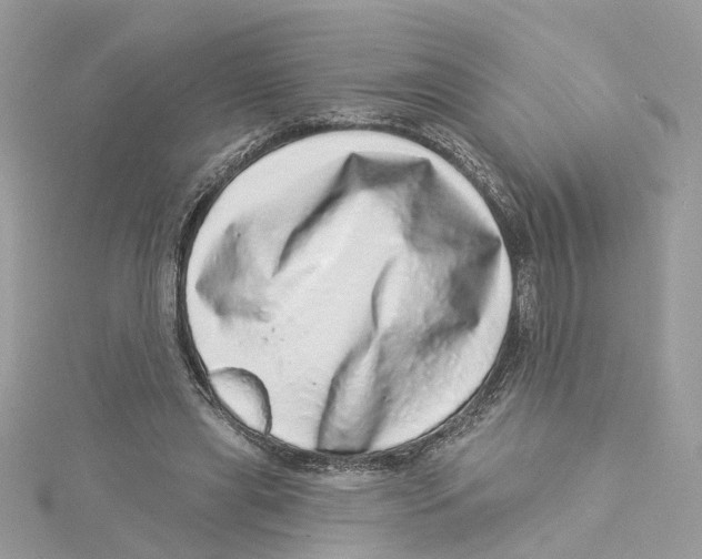 X0000114490445200911161216