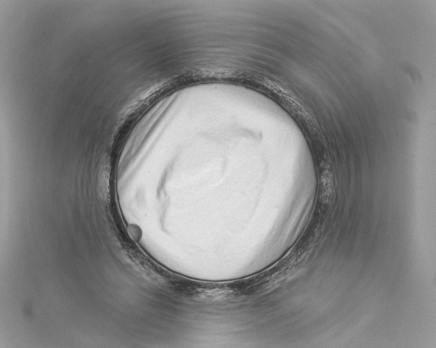 X0000114490446200911161216