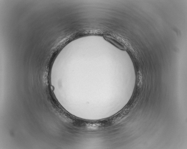 X0000114490450200911161216