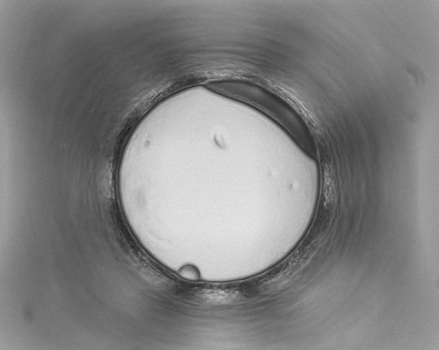 X0000114490453200911161216