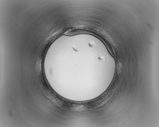 X0000114490454200911161216