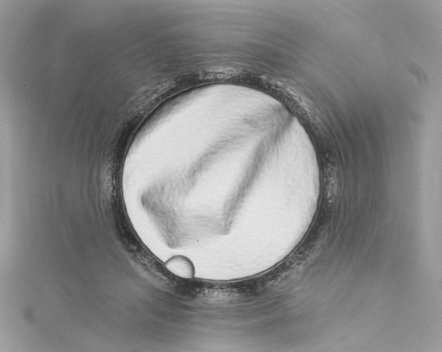 X0000114490455200911161216