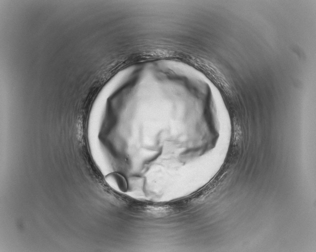 X0000114490457200911161216