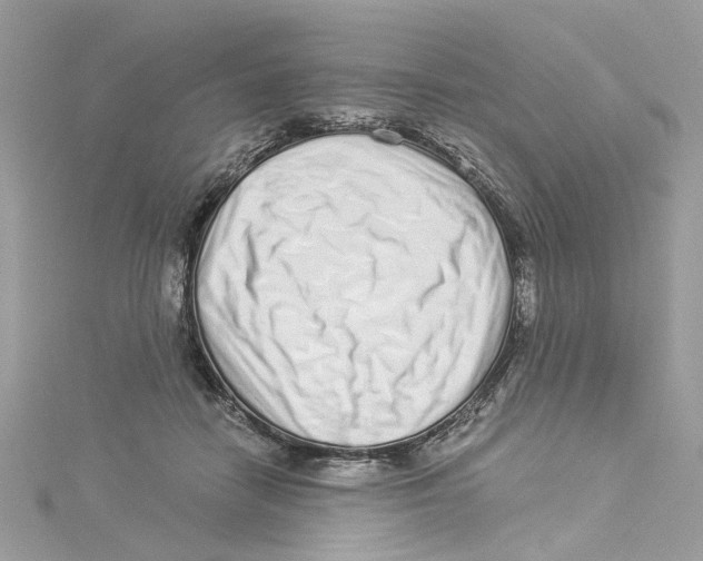 X0000114490458200911161216