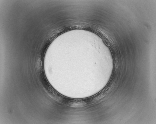 X0000114490459200911161216