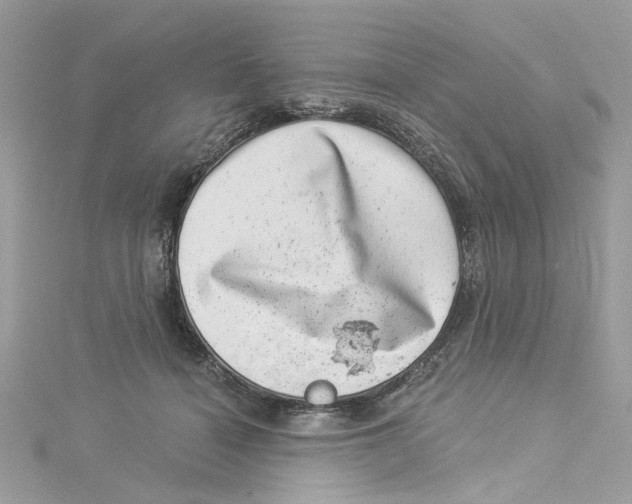 X0000114490460200911161216