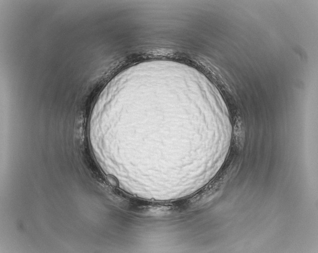 X0000114490462200911161216