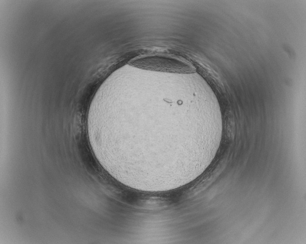 X0000114490467200911161216