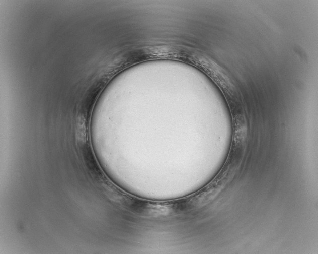 X0000114490469200911161216