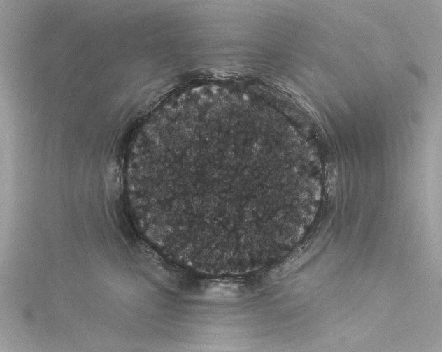 X0000114490471200911161216