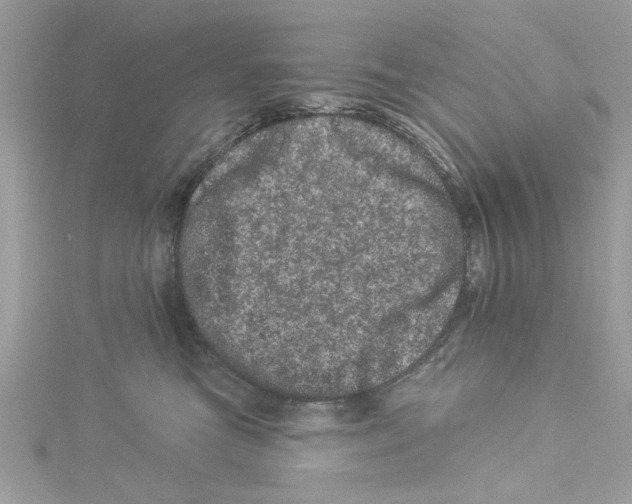 X0000114490473200911161216