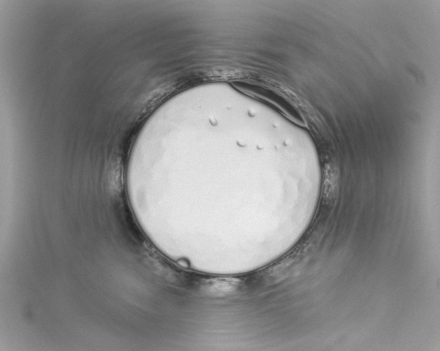 X0000114490474200911161216