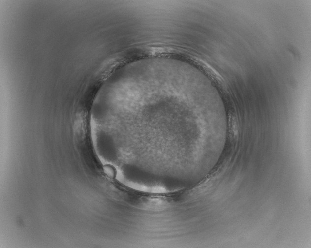 X0000114490475200911161216