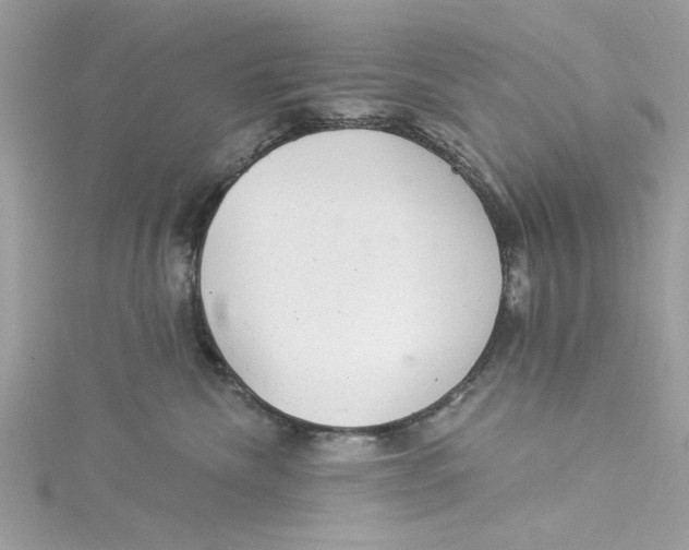 X0000114490476200911161216