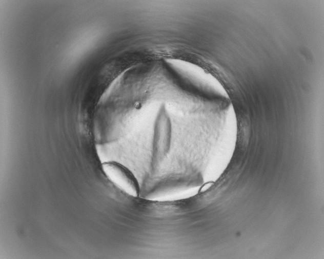 X0000114490477200911161216