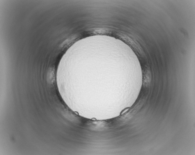 X0000114490478200911161216