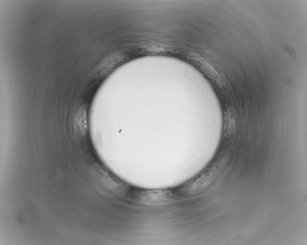 X0000114490479200911161216