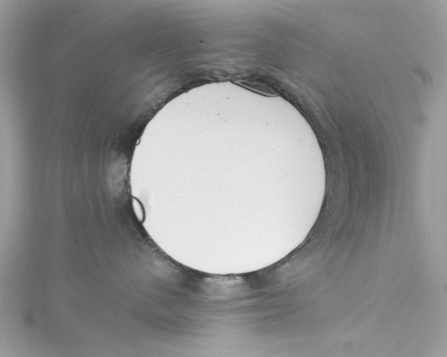 X0000114490480200911161216