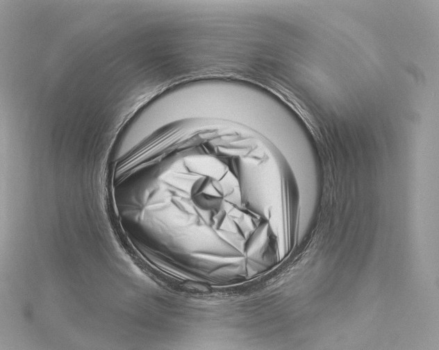 X0000114490485200911161215