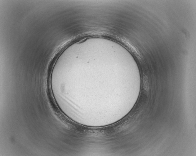 X0000114490486200911161215